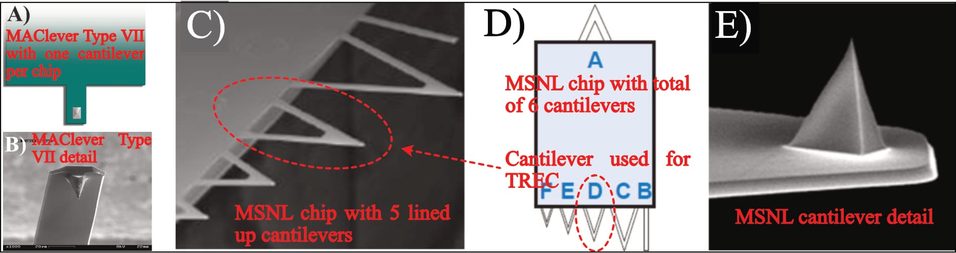 Figure 10: Comparison of the two different cantilever chips (edited after Köhler, 2016, pp. 62, 87; images originally provided by manufacturers \[Keysight Technologies and Bruker], but respective websites no longer available). Whereas the used magnetically coated cantilevers are individually mounted to chips, the employed MSNL cantilever is mounted in between four others on the same chip.